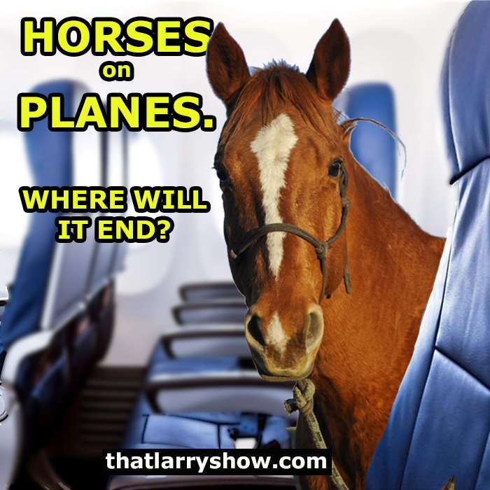 Episode 210: Horses On Planes. Where Will It End?