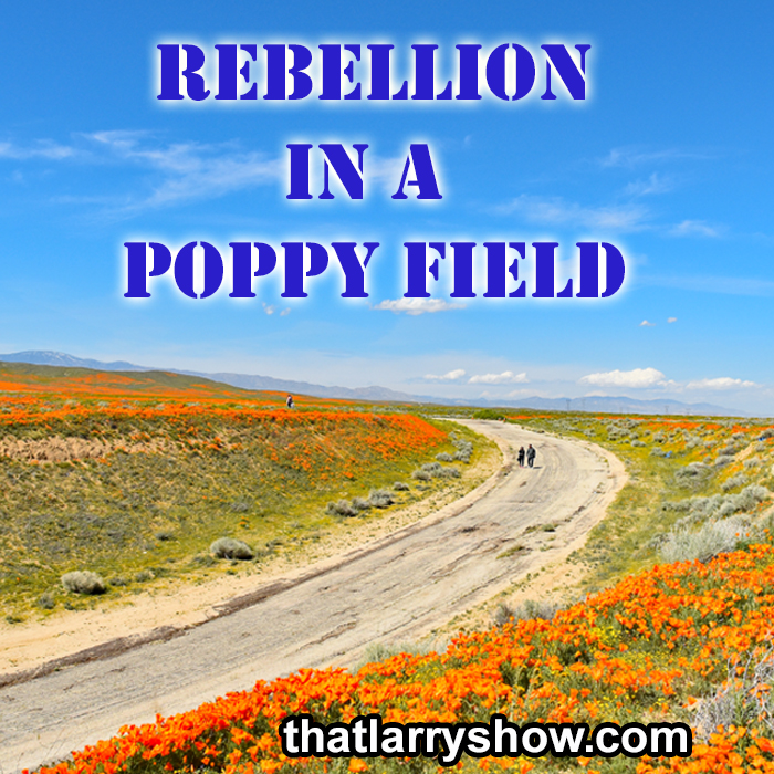Episode 253: Rebellion In A Poppy Field