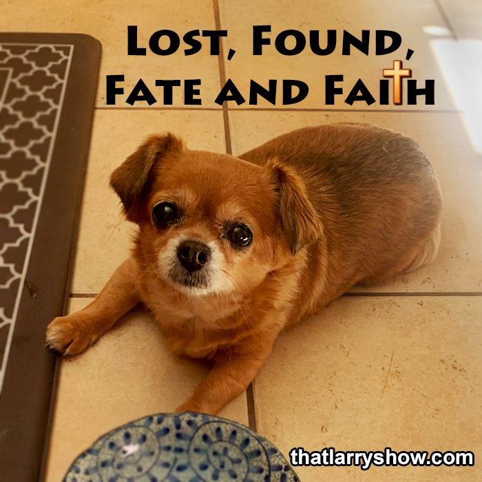 Episode 357: Lost, Found, Fate and Faith