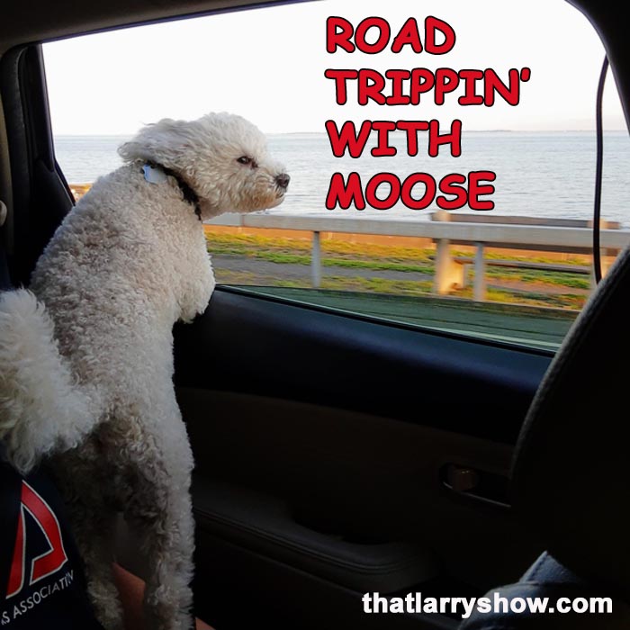 Episode 420: Road Trippin’ With Moose