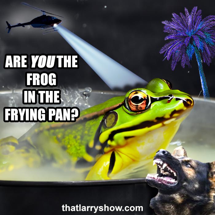 Episode 431: Are You The Frog In The Frying Pan?