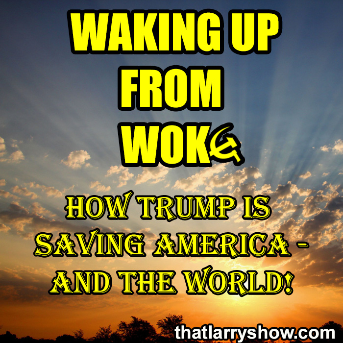 Episode 485: Waking Up From Woke: How Trump Is Saving America – And The World!